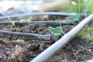 Tubo <span class=keywords><strong>per</strong></span> <span class=keywords><strong>Irrigazione</strong></span> Agricola di Alta Qualità 16MM <span class=keywords><strong>con</strong></span> Gocciolatore Rotondo Integrato - Product Image 4