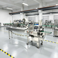 Machine d'emballage horizontale industrielle SZ-180 pour sacs oreillers, production commerciale en usine alimentaire, pour emballage de rouleaux suisses