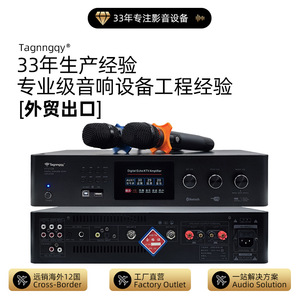Amplificador de Eco Digital Tianlang KTV-139 con Salida de Audio Estéreo para Salas de Karaoke y Conferencias con Soporte para Micrófono - Product Image 2