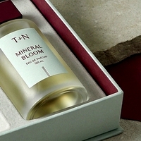 Boîte à parfum de luxe personnalisée, style livre rouge magnétique, rigide, écologique, pour une seule bouteille, présentation pour cosmétiques, parfum personnalisé