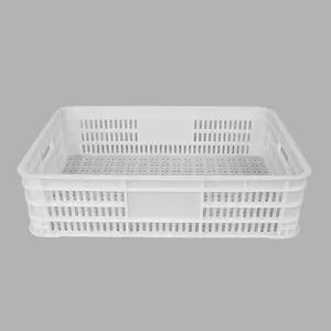 TOURTOP Factory Wholesale Supply Plastic Logistics Crate Vegetable Fruit Plastic Basket PP Material