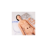 Maniquí de Modelo Anatómico de Ciencias Médicas de PVC, Función Completa Avanzada, Entrenamiento de Enfermería, Medición de Presión Arterial, Intramuscular