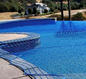 Bay Miễn Phí Màn Hình Net Bơi Hồ Bơi Thùng 18 Hồ Bơi Skimmer Lá Cào Đôi Net Leaf Net Lưới Hồ Bơi Bìa - Product Image 2