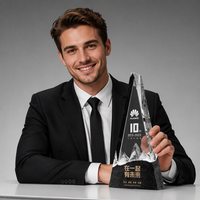 Trophée en cristal artificiel personnalisé, récompense sportive sculptée pour les employés exceptionnels, les équipes championnes, les réunions annuelles, plaque nominative d'unité