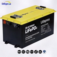 Batería de ciclo profundo LiFePO4 para RV, 38.4V 300AH 10KW, Grado 5, 6000 ciclos, 10 años de vida útil, BMS inteligente de 100A, RS485, IP67, OEM