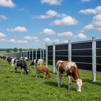 Système de montage de clôture solaire en acier galvanisé à chaud, support PV vertical pour projets agricoles, pâturages et terres ouvertes (agrivoltaïsme)