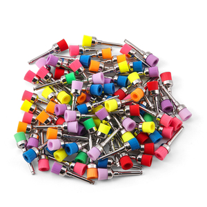 100 Pezzi Spazzole Dentali Monouso in Nylon con Attacco a Scatto, Piatte e Coniche, per Lucidatura e Cura Dentale - Product Image 1