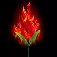 Nicro Prix usine Cadeau Tanabata Saint-Valentin Torche en plastique Feu Rose pour Amoureux Adultes Accessoires de magie réutilisables pour scène de rue et close-up