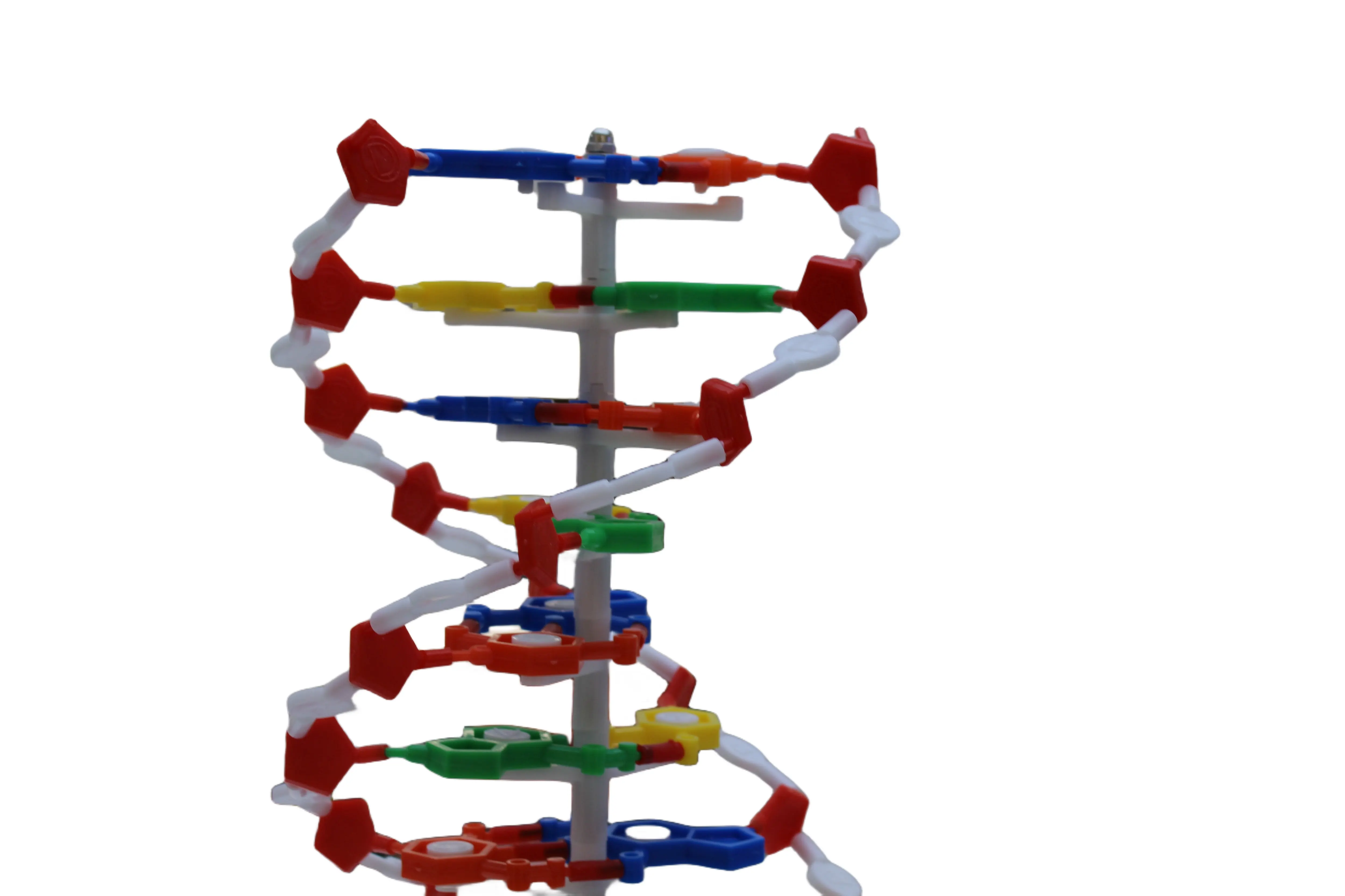 Vendite dirette in fabbrica, dimostrazione del modello di struttura a doppia elica del DNA nell'insegnamento della biologia
