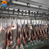 Proyecto Llave en Mano para Matadero de Ovejas, Línea de Procesamiento y Sacrificio de Cabras, Maquinaria de Acero Inoxidable, Equipo con Certificación CE