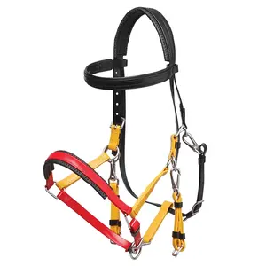 Briglia equestre regolabile regolabile colorata rivestita in PVC impermeabile resistente e durevole con Logo personalizzato