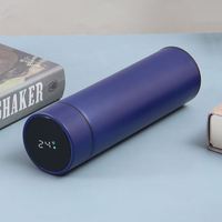 Thermos en acier inoxydable à prix avantageux, bouteille isotherme à vide, gobelet intelligent avec affichage numérique de la température, thermos intelligent