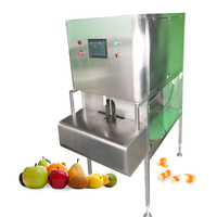 Fruit Citroen Appel Oranje Mango Schilmachine