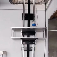 Ascenseur électrique de monte-charge de nourriture de cuisine de restaurant extérieur d'intérieur de courant alternatif pour des hôtels