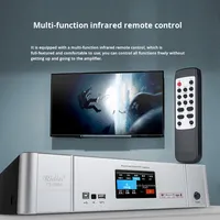 Amplificateur intégré 3-en-1 série TCT pour salle de karaoké, home cinéma, avec microphone sans fil Bluetooth
