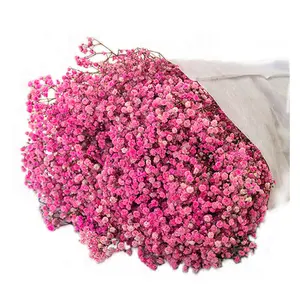450 gram korunmuş doğal Gypsophila Babys nefes çiçek sıcak satış çin tedarikçisi