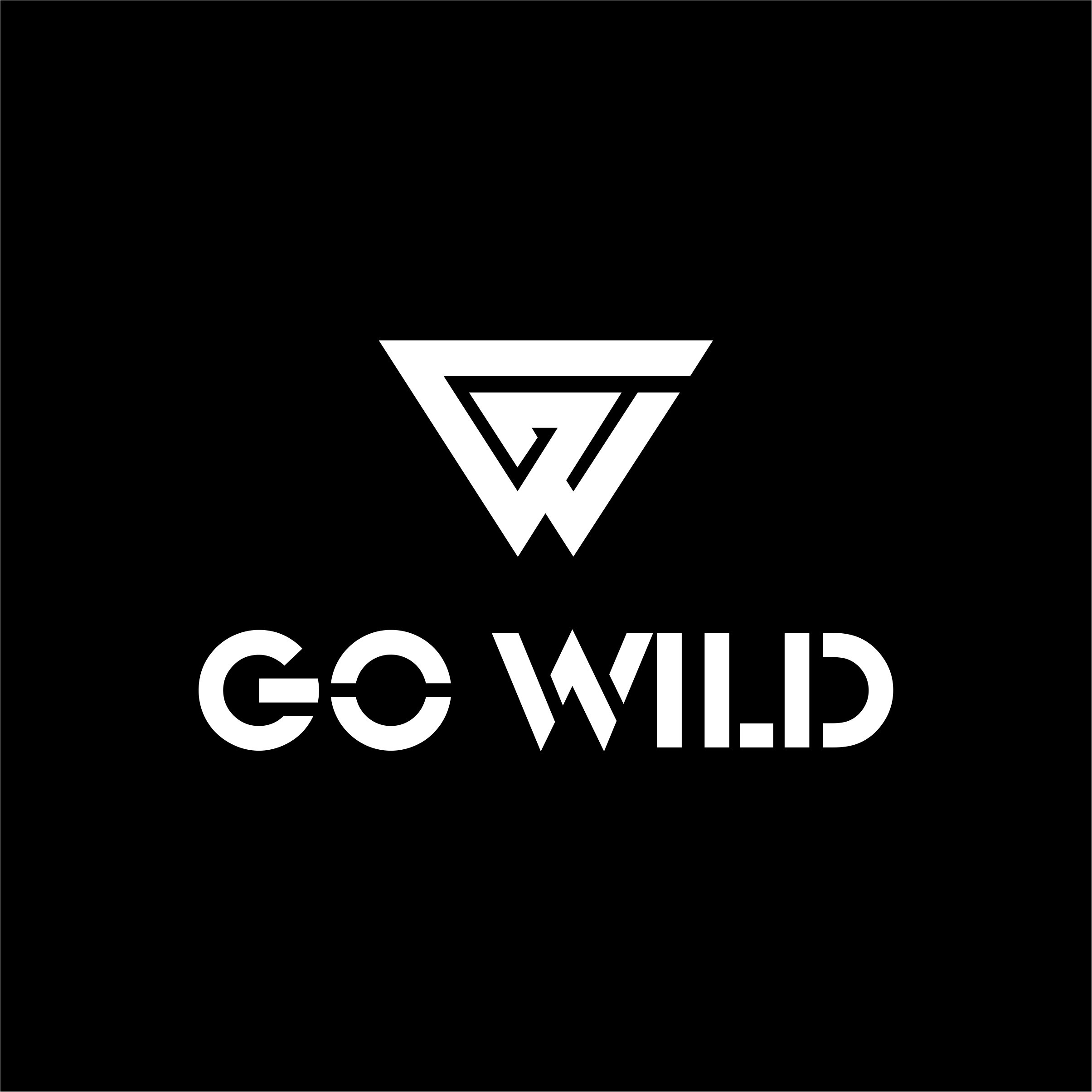Weifang Go Wild Auto Technology Co., Ltd. logo