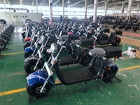 Nouvel exemple de Scooter électrique de ville 2000W 3000W chine ville nouveau style gros pneu batterie au Lithium Scooter électrique