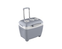 Mini glacière portable électrique de camping de 50l avec roues peut chauffer et refroidir DC 12V,AC 100V-240V glacière