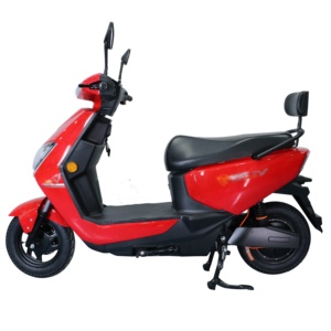 Bicicleta Eléctrica para Adultos 2025 con Motor sin Escobillas de 1000w, Batería de Plomo-Ácido, Piezas Electrónicas Digitales Zhanshen, E-bike de 1000w - Product Image 1