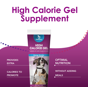 Gel nutritionnel à haute teneur en calories pour chats et chiens Supplément pour animaux de compagnie pour l'énergie, la croissance et la récupération - Product Image 3