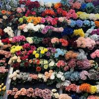 Fleurs d'hortensia bleues en gros, fleurs artificielles, hortensias au toucher réel, mur de fleurs