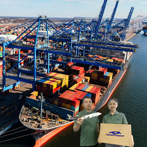 Spedizioniere Marittimo Cinese, Agente di Spedizione, Tariffe da Ningbo, Guangzhou, Xiamen verso USA/Canada/Australia/<span class=keywords><strong>Germania</strong></span>/Regno Unito/<span class=keywords><strong>Messico</strong></span> - Product Image 4