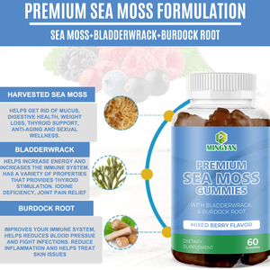 Gomitas de Musgo Irlandés, Alga Marina y Raíz de Bardana, Suplemento Herbal Orgánico Sin Gluten para Reforzar el Sistema Inmunológico y Aumentar la Energía (Venta al Por Mayor) - Product Image 3