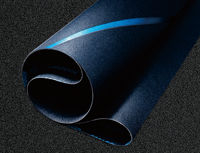 Bandes abrasives en carbure de silicium de haute qualité, fabriquées sur mesure, dimensions 2200*1330, acceptant la personnalisation