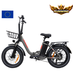 Vélo électrique JLM MK-203 à cadre basse, avec panier et pneus larges, 48V 500W, prix usine, entrepôt UE - Product Image 1