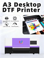 Imprimante DTF portable compacte à transfert direct sur vêtement 300 mm couleur CMJN avec presse à chaud