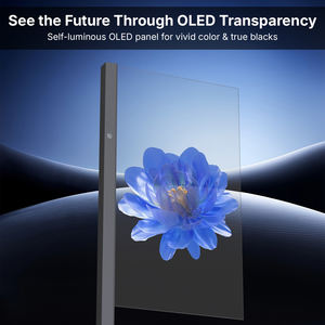 Écran d'affichage numérique portable flexible OLED transparent <span class=keywords><strong>Ai</strong></span> 1920X1080, <span class=keywords><strong>film</strong></span> OLED, écran vidéo mural OLED - Product Image 3