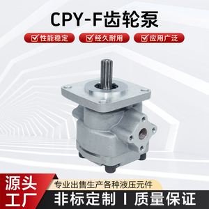 ปั๊มเกียร์ Gpy F Series ปั๊มไฮดรอลิก Cpy F สำหรับใช้งานในอุตสาหกรรม - Product Image 5