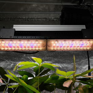 ไฟปลูกพืช Meijiu 400W แสงส่องจากด้านบน สเปกตรัมเต็ม ใช้หลอด <span class=keywords><strong>LED</strong></span> Samsung <span class=keywords><strong>Osram</strong></span> สำหรับปลูกผักและผลไม้ในร่ม - Product Image 2