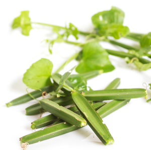 Fruiterco bitkisel özü 50X Cissus Quadrangularis özü tozu Cissus Quadrangularis özü - Product Image 3