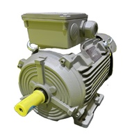 TECO WEG Baldor IE3 Moteur à courant alternatif triphasé 6 pôles 15hp 30hp 40hp 50hp 60hp 75hp 125hp Moteur à induction