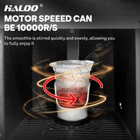 Haloo Automaat Leverancier Semi-Automatische 24 Uur Frozen-Fruit Smoothie Blender Machine Fruit Smoothie Automaat
