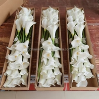 Bunga Calla Lily Buatan PU Sentuhan Realistis Warna Putih 60 cm untuk Dekorasi Pernikahan dan Rumah