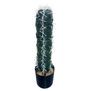 Plante artificielle de cactus bonsaï succulente en pot, table succulente en vrac mignonne, petite plante de cactus artificielle bon marché d'intérieur - Product Image 1