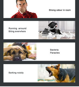 Cabina per Animali Domestici, Stanza Silenziosa per Gatti e Cani, Rifugio Acustico, Cuccia per Dormire - Product Image 6