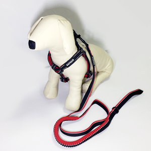 Verstellbarer Hunde gurt mit <span class=keywords><strong>Nylon</strong></span> riemen und Schnell verschluss leine Set Kunden spezifisches Polyester gewebe für Tierhalter - Product Image 6