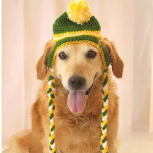 Bán sỉ vật nuôi lớn hat-Y-Z Pet Hat New Dog Phụ Kiện Golden Retriever Chó Lớn Thời Trang Cá Tính Dog Hat Nhà Sản Xuất Cung Cấp