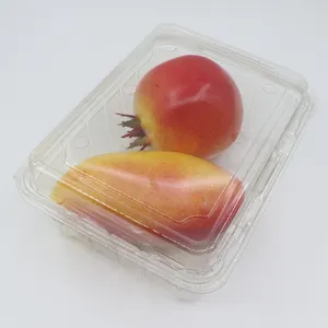 custom PET Plastic Blister Packaging Boxes Dessert Candy Pastry Container Food Storage for Baked Goods and Candies