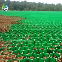 Grille de pavage en plastique HDPE PP industrielle de haute qualité à prix abordable, 500x500mm, pour allées, pénétration de gravier et gazon, idéale pour le jardin