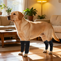 Attelle réglable pour pattes arrière de chien – Protection articulaire pour chiens atteints d'arthrite, de entorses et de stabilisation des lésions du ligament croisé antérieur