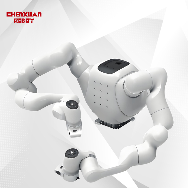 Embodied AI 7-Axis Dual-Arm Robot with Liftable Platform 1 kW Power 220 V for Complex Assembly Multimodal Research