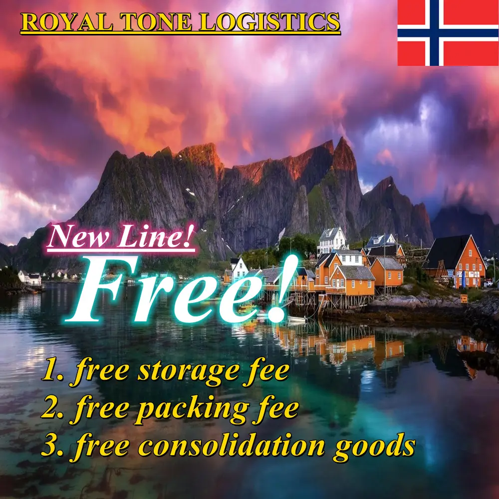 Yeni hat to norveç nakliye şirketi navlun forwarder ücretsiz yeniden paketleme ve depolama sevkiyat