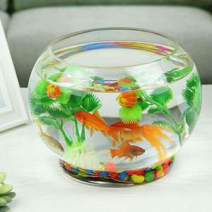 D-Vormige Glazen <span class=keywords><strong>Aquarium</strong></span> Met Transparante Basis Voor Moderne Huisdecoratie; Fles Voor Aquaponics En Microlandschappen - Product Image 4