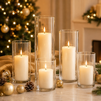 Bouteille en verre épaissi, support de bougie créatif, bouteille vide, grand vase, pot transparent, bouteille pour plantes, poissons et paysages d'intérieur