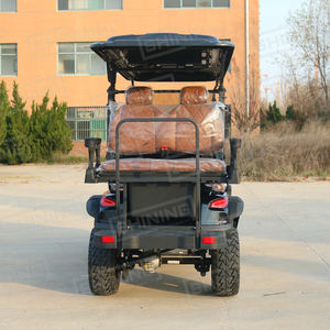 Buggy Utilitaire Électrique 6 Passagers Homologué pour la Route avec Suspension Indépendante, Voiturette de Golf Touristique - Product Image 5